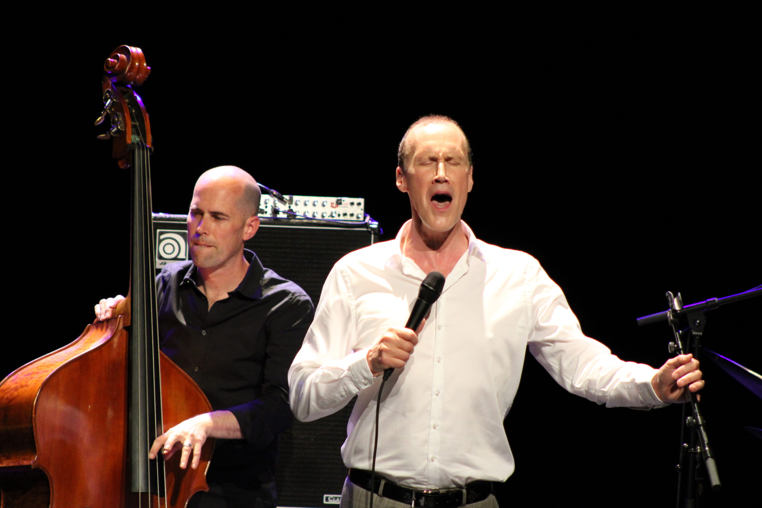 Retour en photos David Linx Quartet